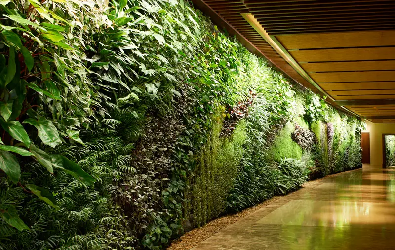 green wall plantscapes 1